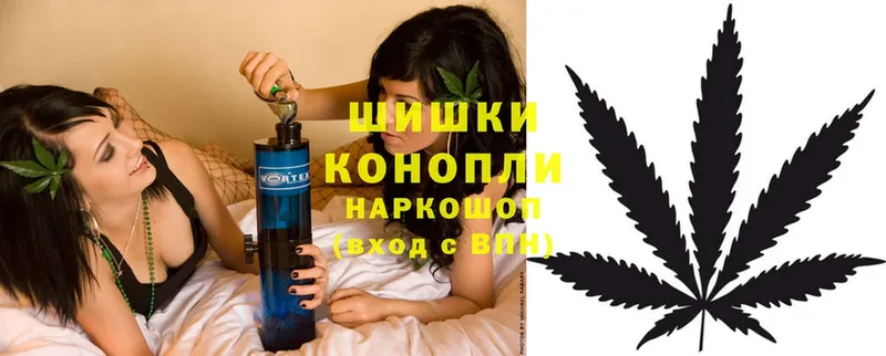 Шишки марихуана OG Kush  Дятьково 